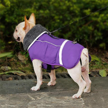 Warm Coat for frenchie (CS1) - Frenchie Bulldog Shop