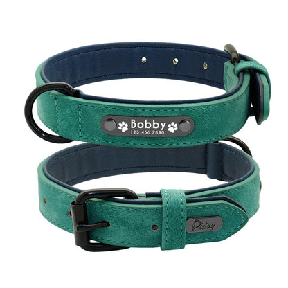 Personalised Collar with Leash - Frenchie Bulldog Shop