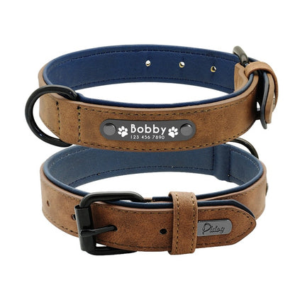 Personalised Collar with Leash - Frenchie Bulldog Shop