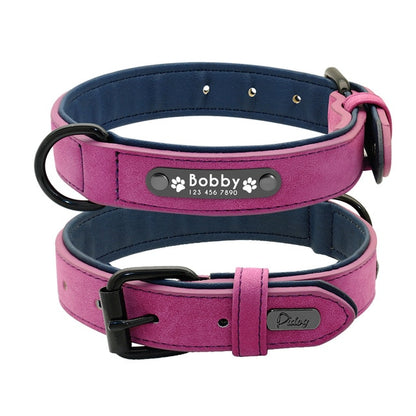 Personalised Collar with Leash - Frenchie Bulldog Shop