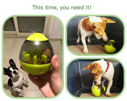 IQ Treat ball interactive food egg (WS68) - Frenchie Bulldog Shop