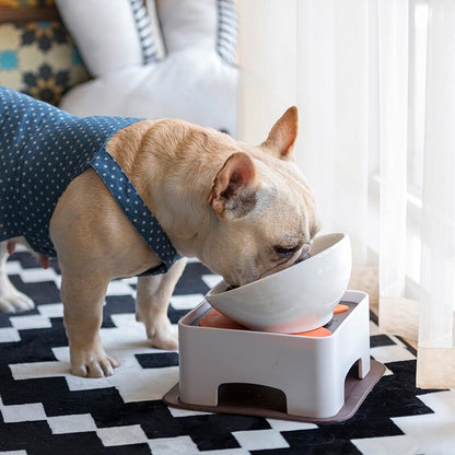 Ceramics Bowl for Frenchies (WS41) - Frenchie Bulldog Shop