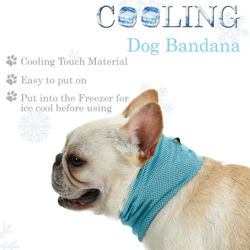 Frenchie shop cooling bandana