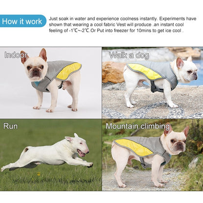 Coolify™ : Cooling Vest for Frenchie (CS13) - Frenchie Bulldog Shop