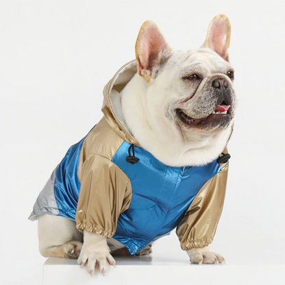 Classy™ French Bulldog Raincoat (WJ73) - Frenchie Bulldog Shop