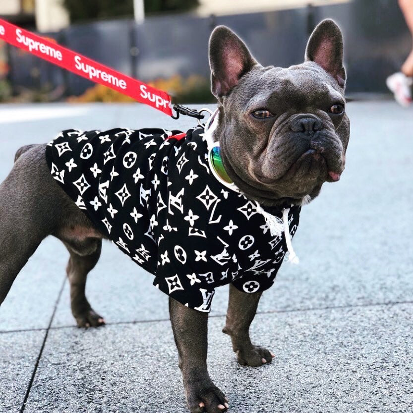 Frenchie Vuitton Sweater | BATPIG Pet Supply