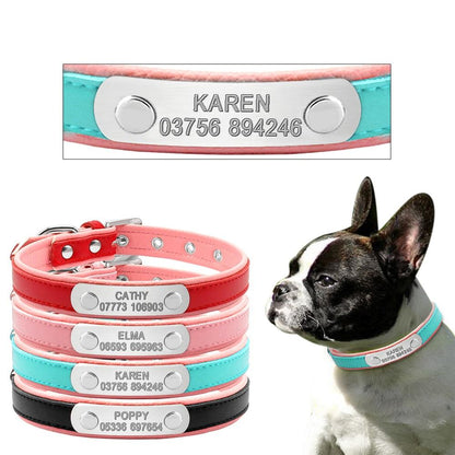 Custom Frenchie Collar - Frenchie Bulldog Shop