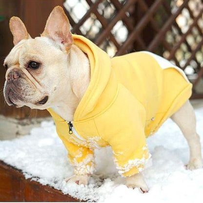 Warm Hoodie for Frenchies (CS6) - Frenchie Bulldog Shop