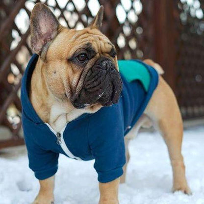 Warm Hoodie for Frenchies (CS6) - Frenchie Bulldog Shop