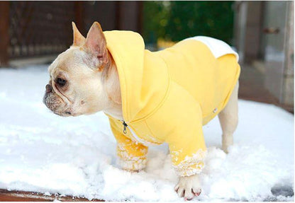 Warm Hoodie for Frenchies (CS6) - Frenchie Bulldog Shop