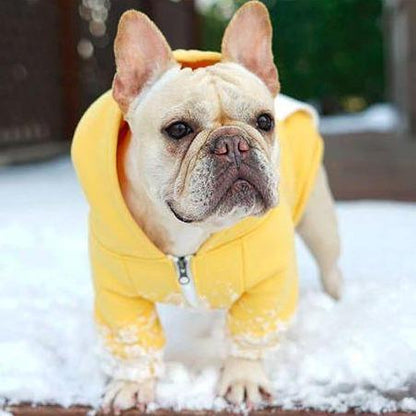 Warm Hoodie for Frenchies (CS6) - Frenchie Bulldog Shop