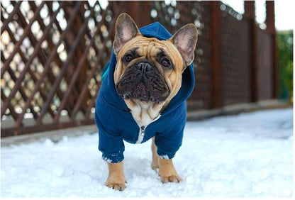 Warm Hoodie for Frenchies (CS6) - Frenchie Bulldog Shop