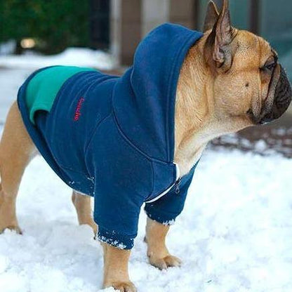 Warm Hoodie for Frenchies (CS6) - Frenchie Bulldog Shop