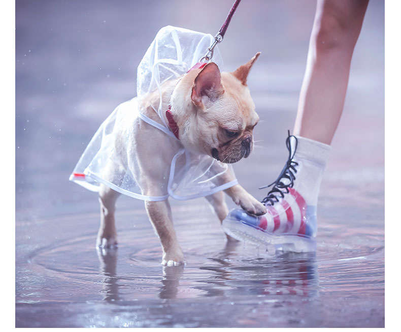 French bulldog deals rain boots