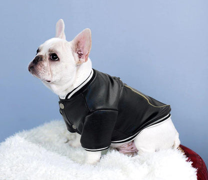 Leather French Bulldog Jacket (WS13) - Frenchie Bulldog Shop