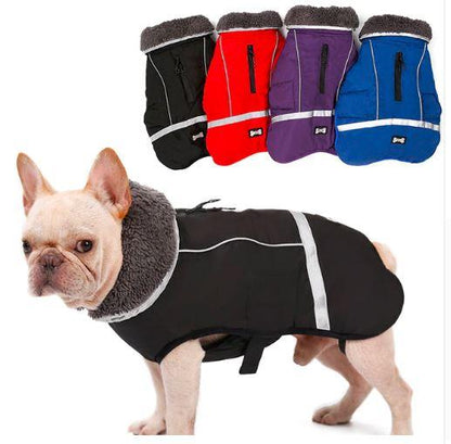 Warm Coat for frenchie (CS1) - Frenchie Bulldog Shop