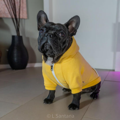 Warm Hoodie for Frenchies (CS6) - Frenchie Bulldog Shop